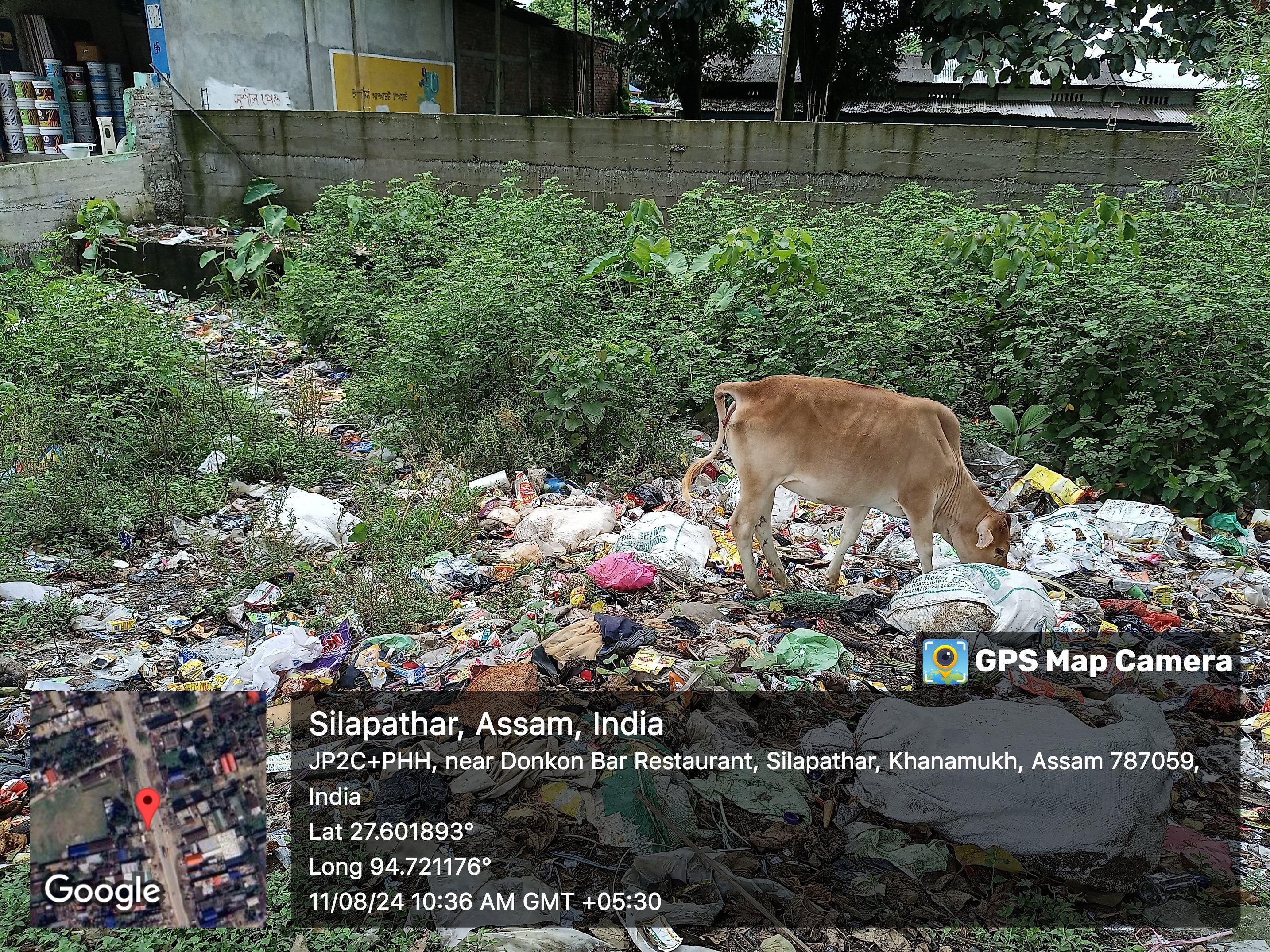 Independence Day 2024 - Photo 1